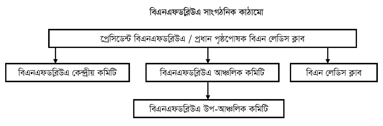 Organization Image 1